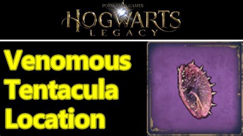 wo finde ich venemosa tentacula|Where to find Venemous Tentacula in Hogwarts。